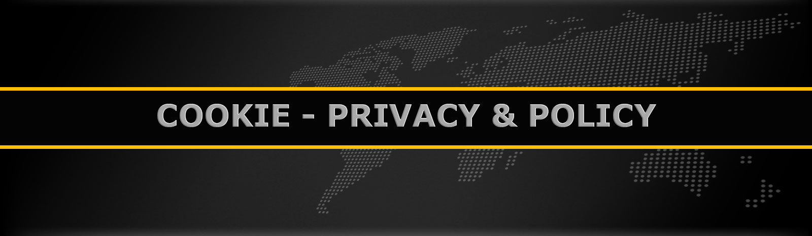 Informatica Cookie - Privacy & Policy